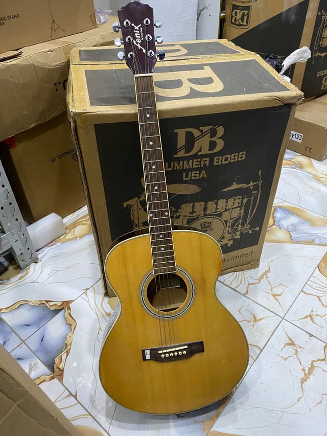 Fenix Acoustic Guitar